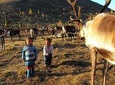 Multi-Day Tour to the Reindeer Tribe in Mongolia