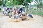 Buggies Half Day Experience and Cenote