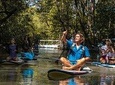 Paddle Board Mangrove Tour
