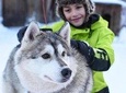 Husky Safari from Levi Including a Husky Sled Ride