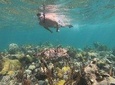 Afternoon Half Day Cruise from Providenciales with Snorkeling and Beach Picnic