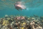 Afternoon Half Day Cruise from Providenciales with Snorkeling and Beach Picnic