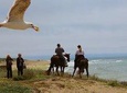 Private Horseback Ride on The Beach & Alcatraz Tour in San Francisco