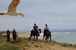Private Horseback Ride on The Beach & Alcatraz Tour in San Francisco