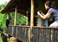 5 days Kigali, Kampala, Entebbe and Gorilla trekking Safari