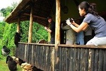 5 days Kigali, Kampala, Entebbe and Gorilla trekking Safari