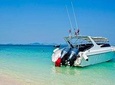 Private Phi Phi Islands Customized Tours