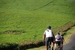 11 Days Kenya Cycling Biking Safari Adventures