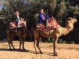 Camel Tour : 2 hours camel ride in Agadir