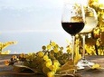 Wine Tour from Sorrento