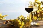 Wine Tour from Sorrento