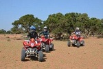 Half day Quad or Buggy ride