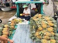 Cai Rang Floating Market Private Day Tour from Ho Chi Minh city