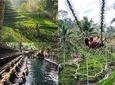  Private Ubud Day Tour with Jungle Swing