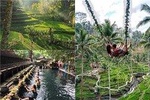  Private Ubud Day Tour with Jungle Swing