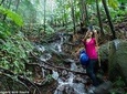 Volcano Caldera (Mt. Liamuiga) Trek