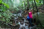 Volcano Caldera (Mt. Liamuiga) Trek