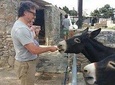 Visit the Mykonian Farm in Mykonos