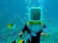 Private Tour: Aqua Safari Scuba Diving