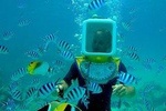 Private Tour: Aqua Safari Scuba Diving