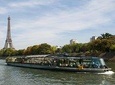 Paris City Tour & Lunch Cruise with Minivan