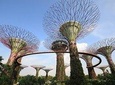 Singapore: Gardens by the Bay Admission E-Ticket