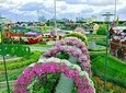 Dubai Miracle Garden with private round trip transfers