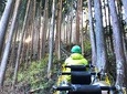 One Day Tour of Tokyo's Plentiful Nature in Hinohara Village