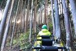 One Day Tour of Tokyo's Plentiful Nature in Hinohara Village