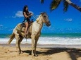 Horseback Riding / Montaña Redonda