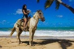 Horseback Riding / Montaña Redonda