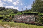 Cameron Highlands And Lata Iskandar Waterfalls Full-day Tour