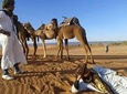 3 Days tour in the desert from MARRAKECH to MERZOUGA