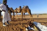3 Days tour in the desert from MARRAKECH to MERZOUGA