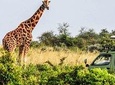 3 days Big five Game Viewing in Queen Elizabeth National Park