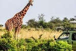 3 days Big five Game Viewing in Queen Elizabeth National Park
