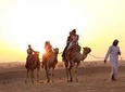 Sunset Camel Caravan Experience with Sunboard and BBQ Dinner Buffet