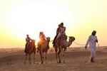 Sunset Camel Caravan Experience with Sunboard and BBQ Dinner Buffet
