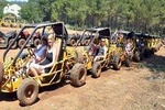 Side:Buggy safari adventure