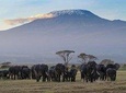 02 nights 03 days Amboseli safari
