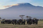 02 nights 03 days Amboseli safari