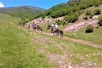 Lori Canyon Vacations