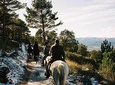 Horse Riding Madrid Natural Park