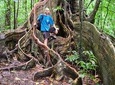 Vermont Nature Trail Hike