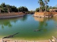 Croco parc agadir 