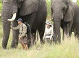 3 Days Samburu Big Five