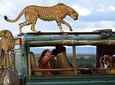  12 Days Kenya wildlife Safari Holidays