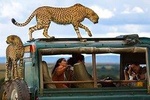  12 Days Kenya wildlife Safari Holidays