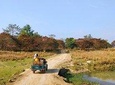 Tour of Pobitora Wildlife Sanctuary from Guwahati with Safari, Lunch and Guide
