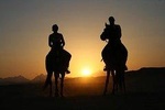 2 hour Sunrise Horse & Camel Riding in Hurghada